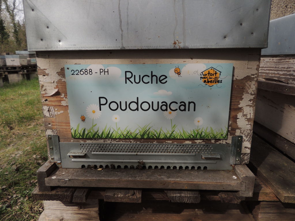 La ruche Poudouacan