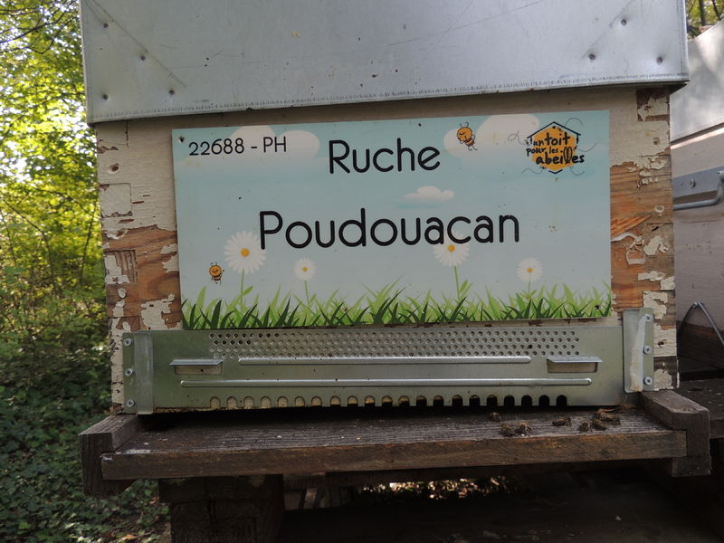 La ruche Poudouacan
