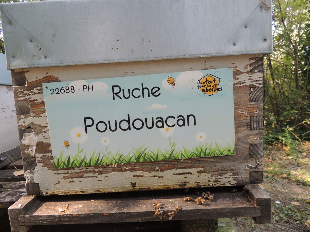 La ruche Poudouacan