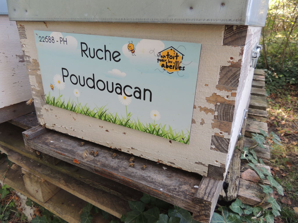 La ruche Poudouacan