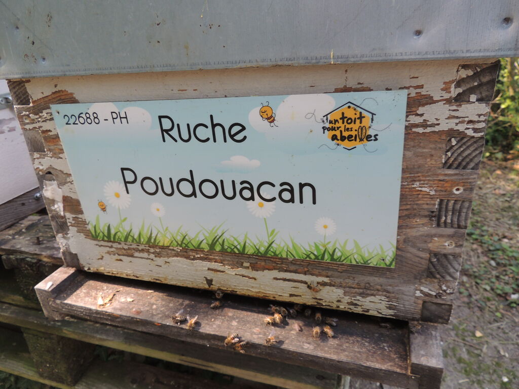 La ruche Poudouacan