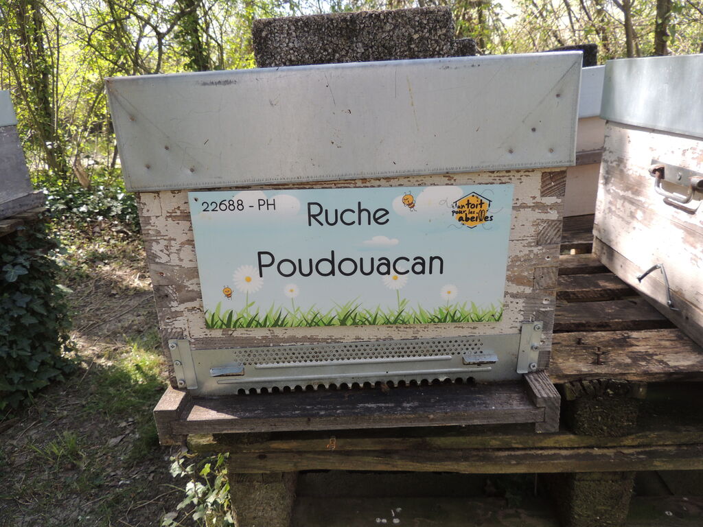 La ruche Poudouacan
