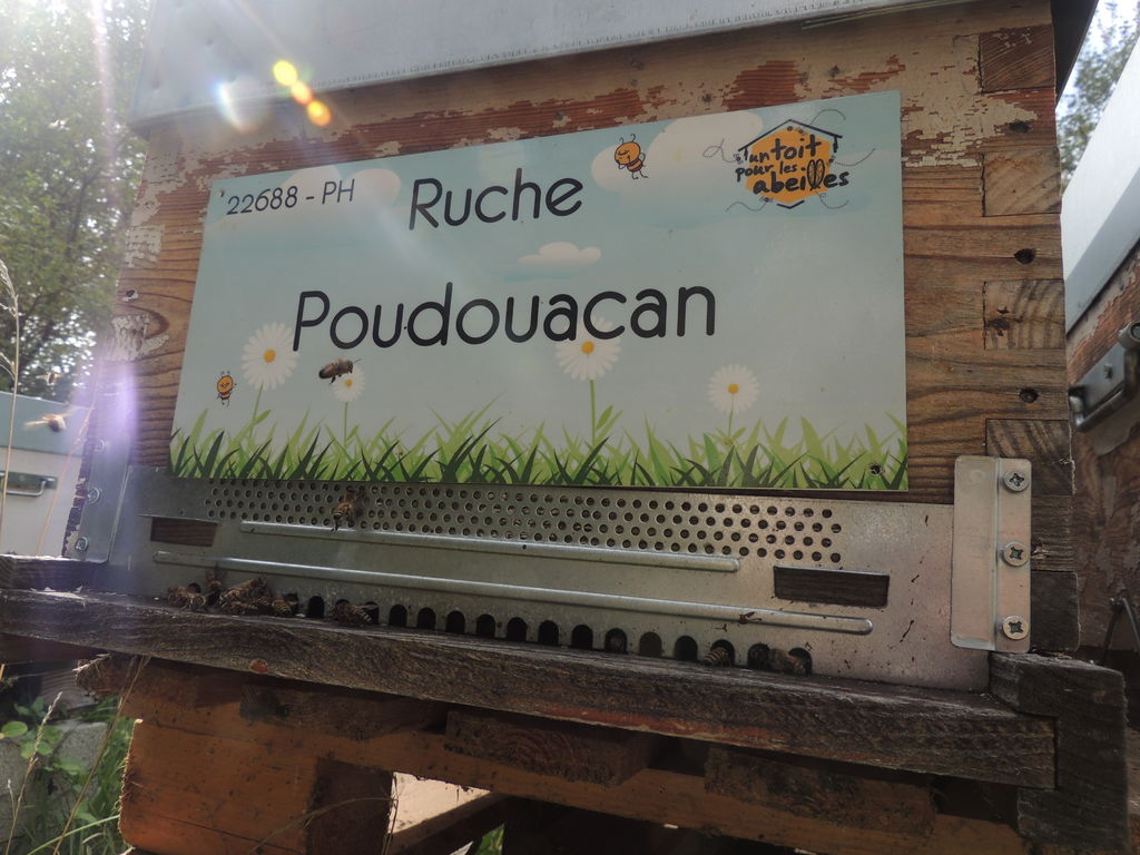 La ruche Poudouacan