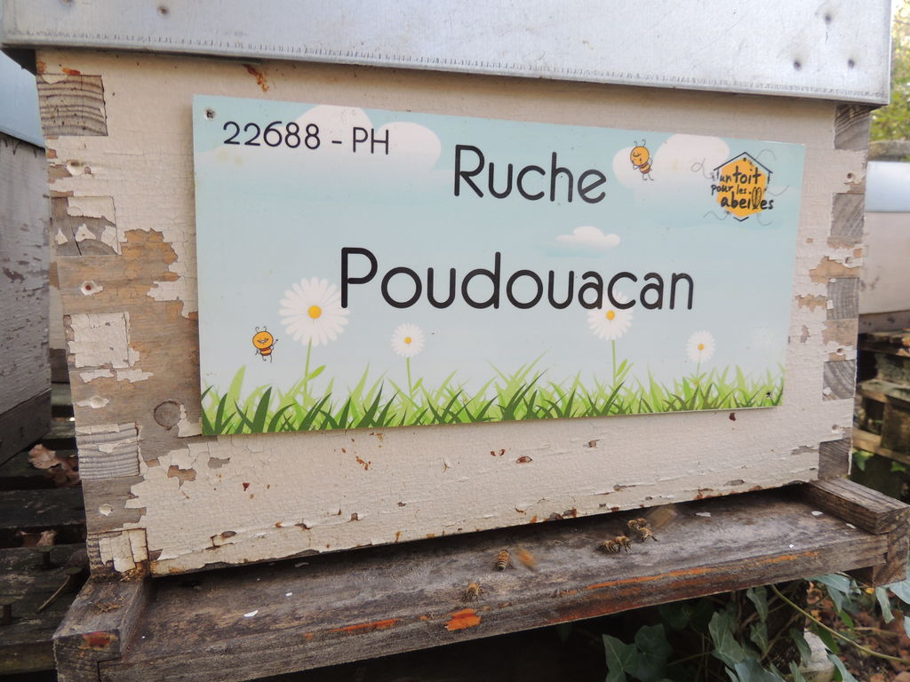 La ruche Poudouacan