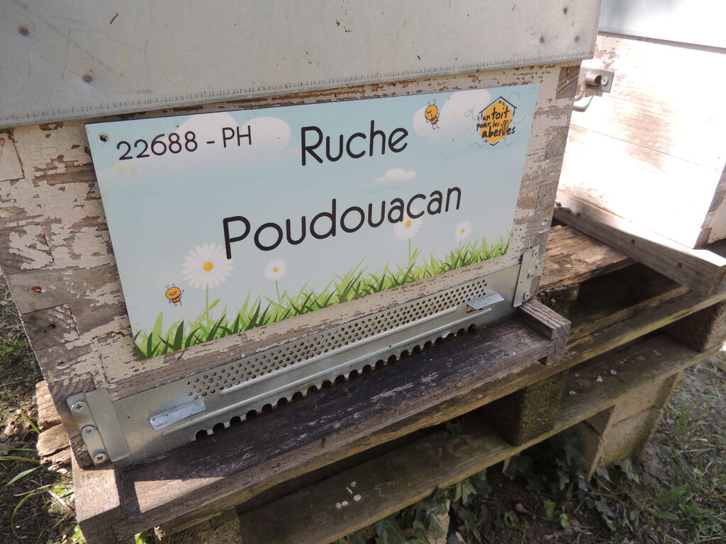 La ruche Poudouacan
