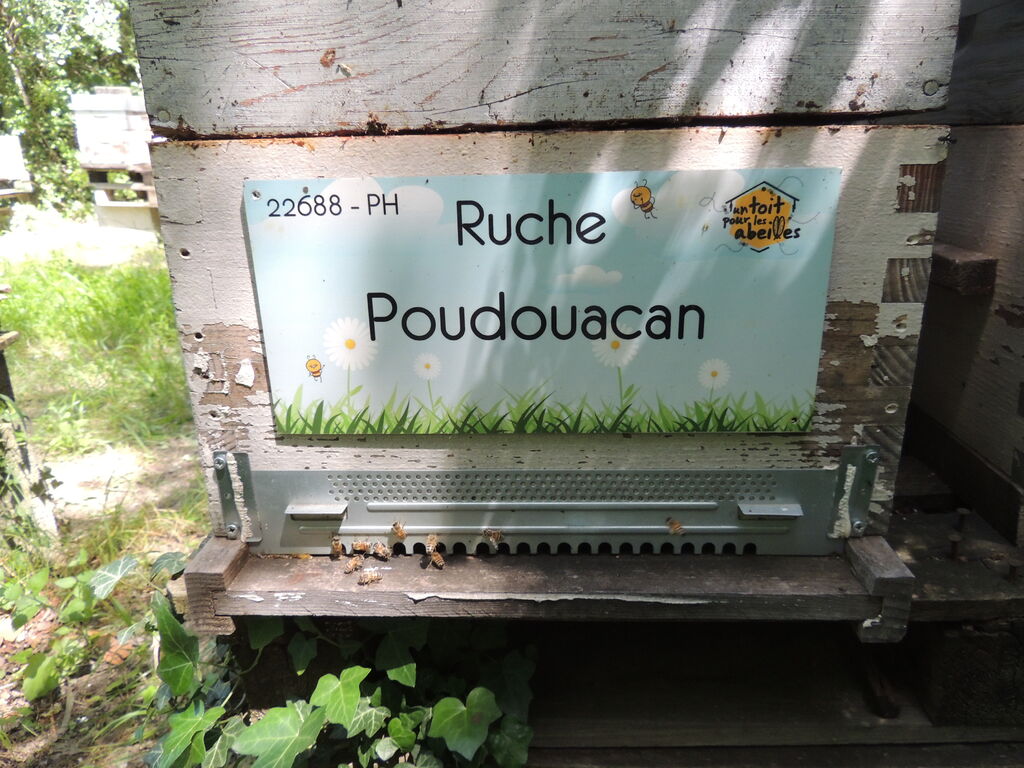 La ruche Poudouacan