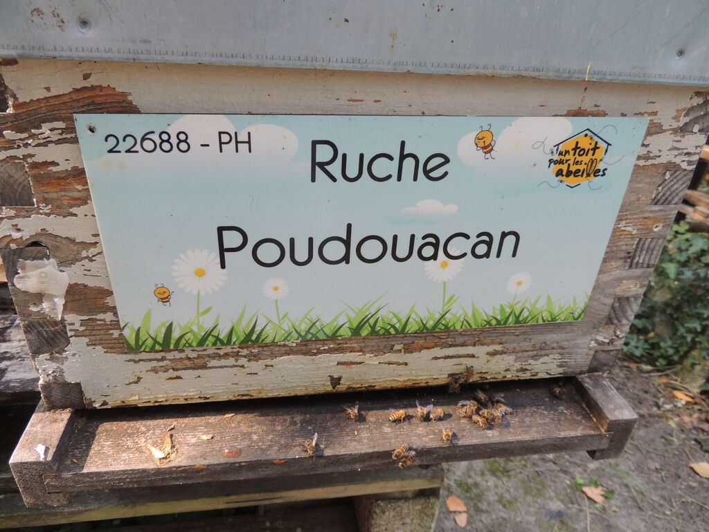 La ruche Poudouacan