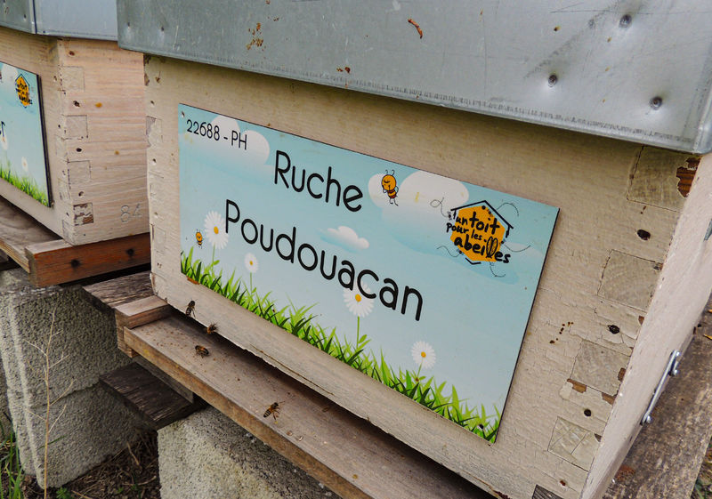 La ruche Poudouacan