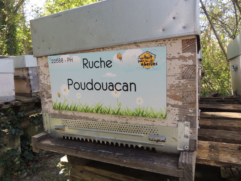 La ruche Poudouacan