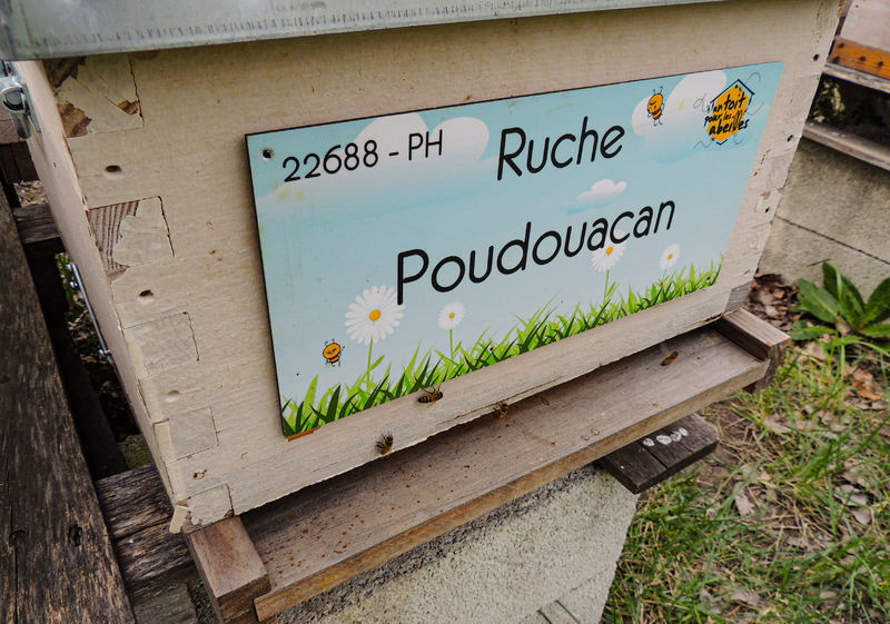 La ruche Poudouacan
