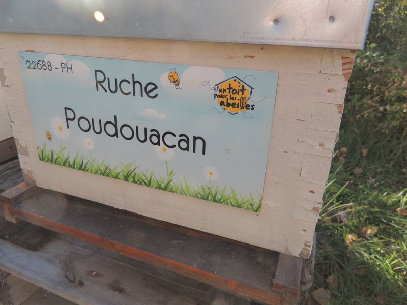 La ruche Poudouacan
