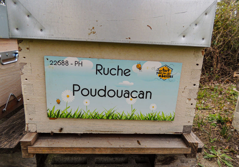 La ruche Poudouacan