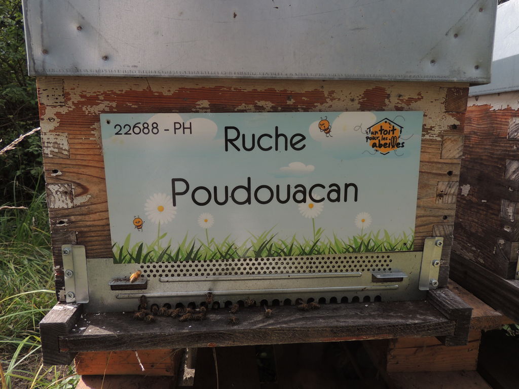 La ruche Poudouacan