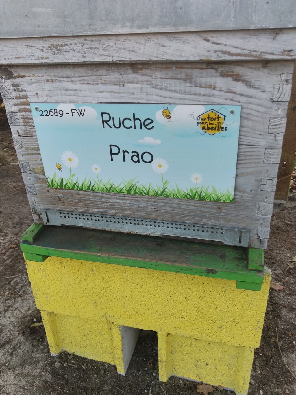 La ruche Prao