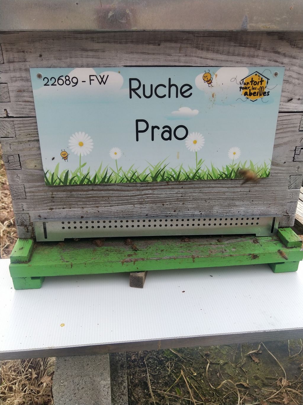 La ruche Prao