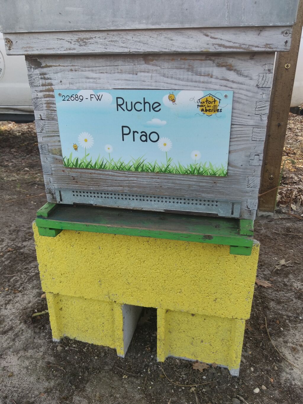 La ruche Prao