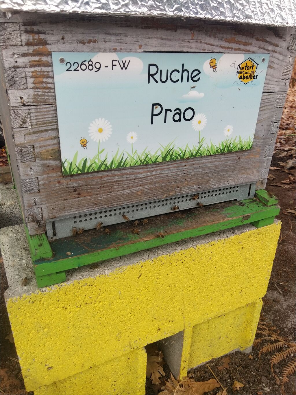 La ruche Prao