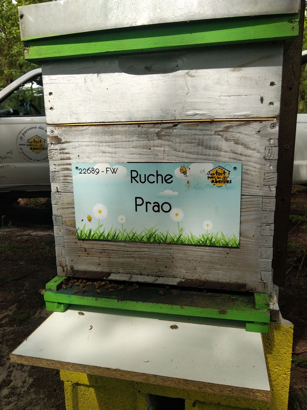 La ruche Prao