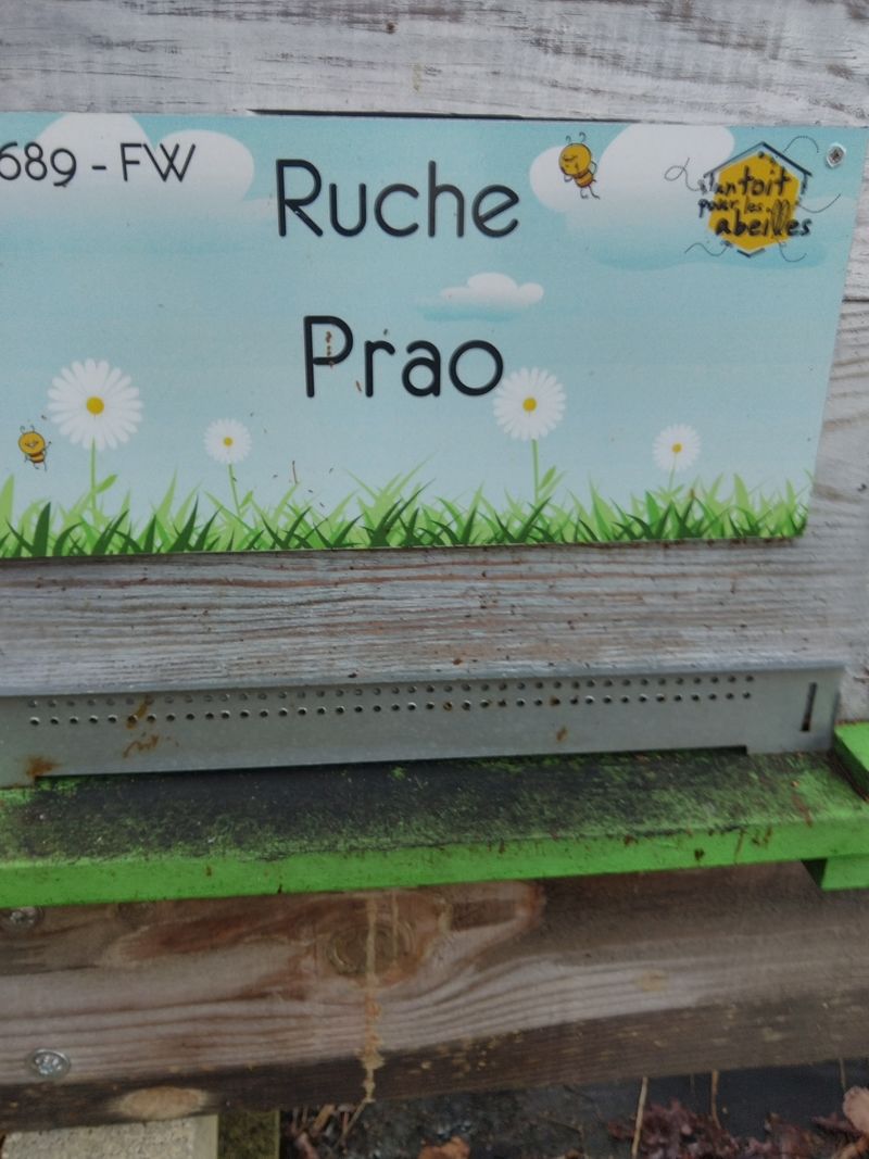 La ruche Prao