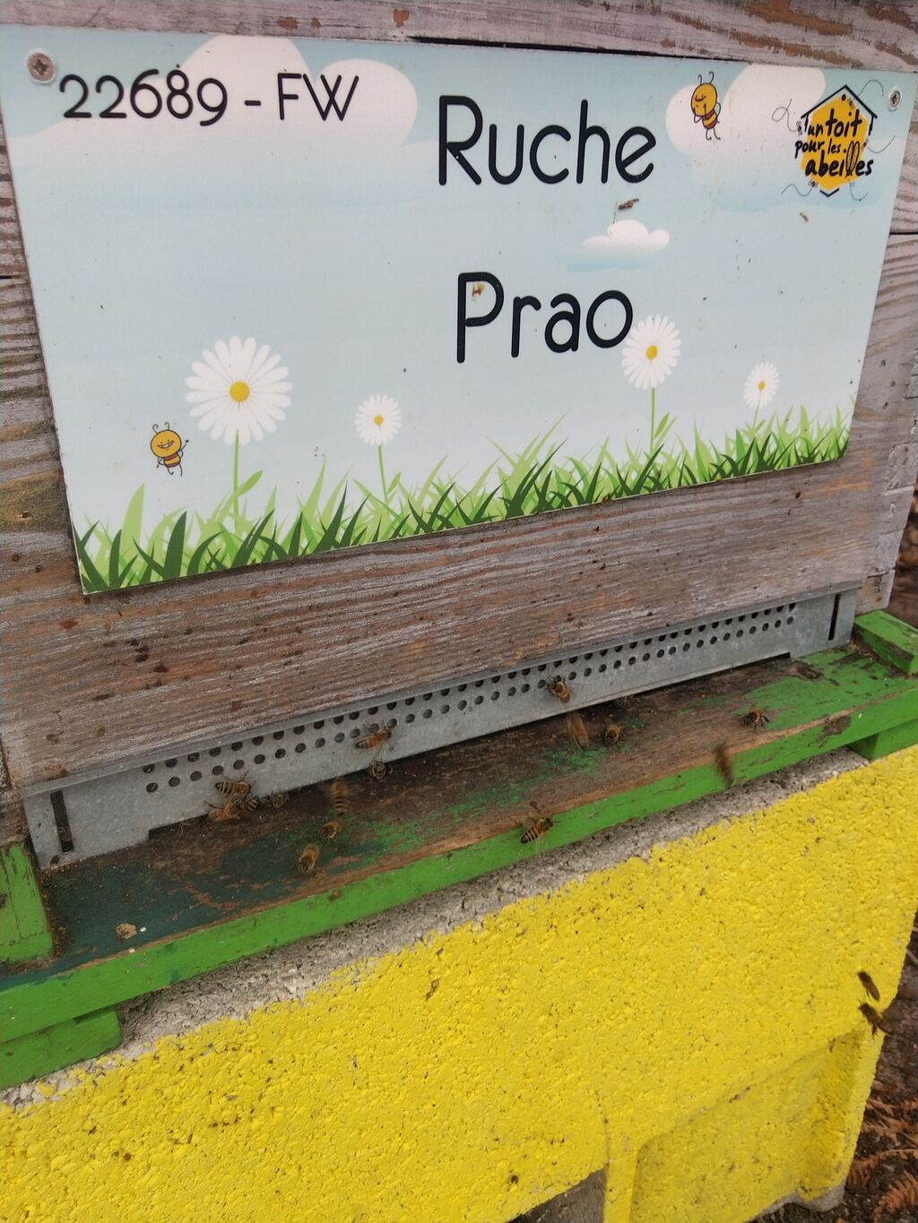 La ruche Prao
