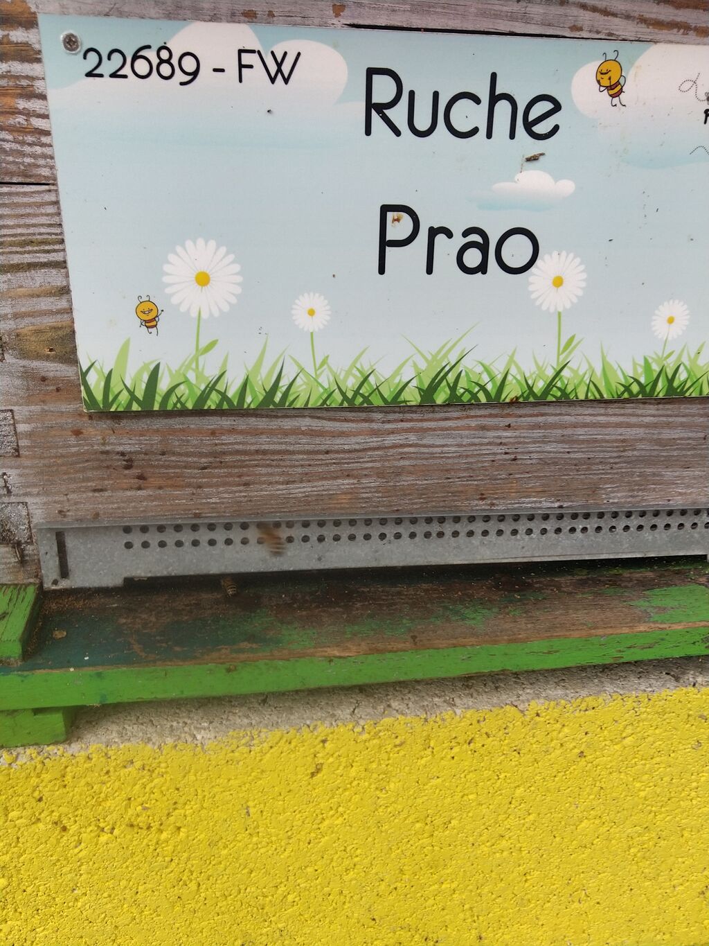 La ruche Prao