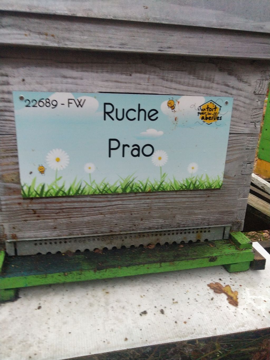 La ruche Prao