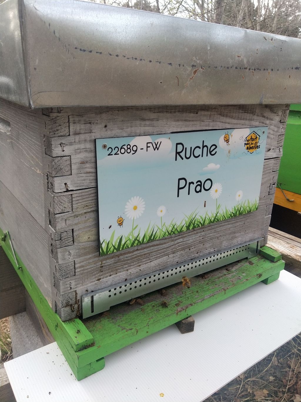 La ruche Prao