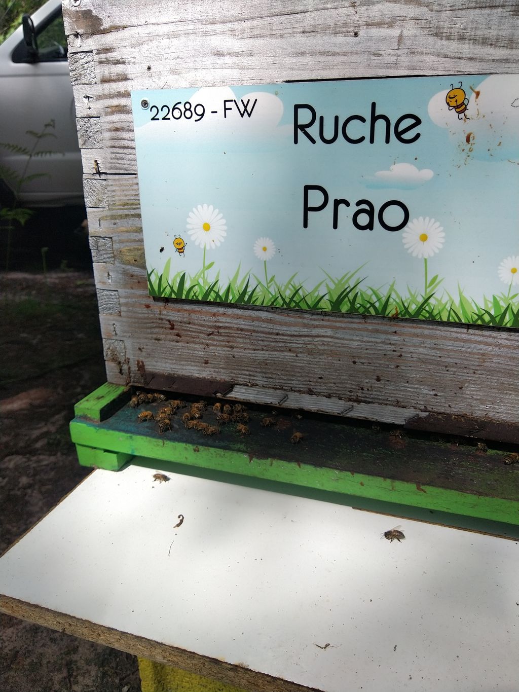 La ruche Prao