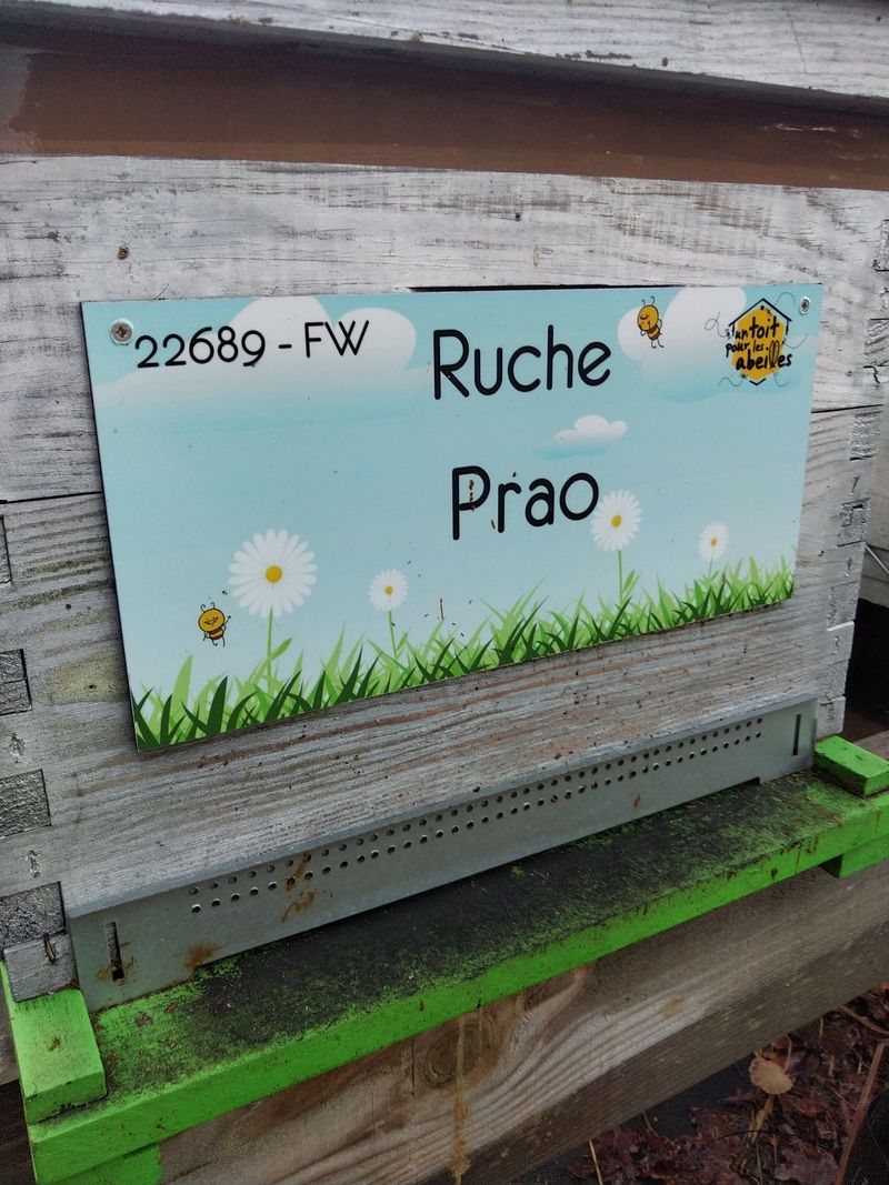 La ruche Prao