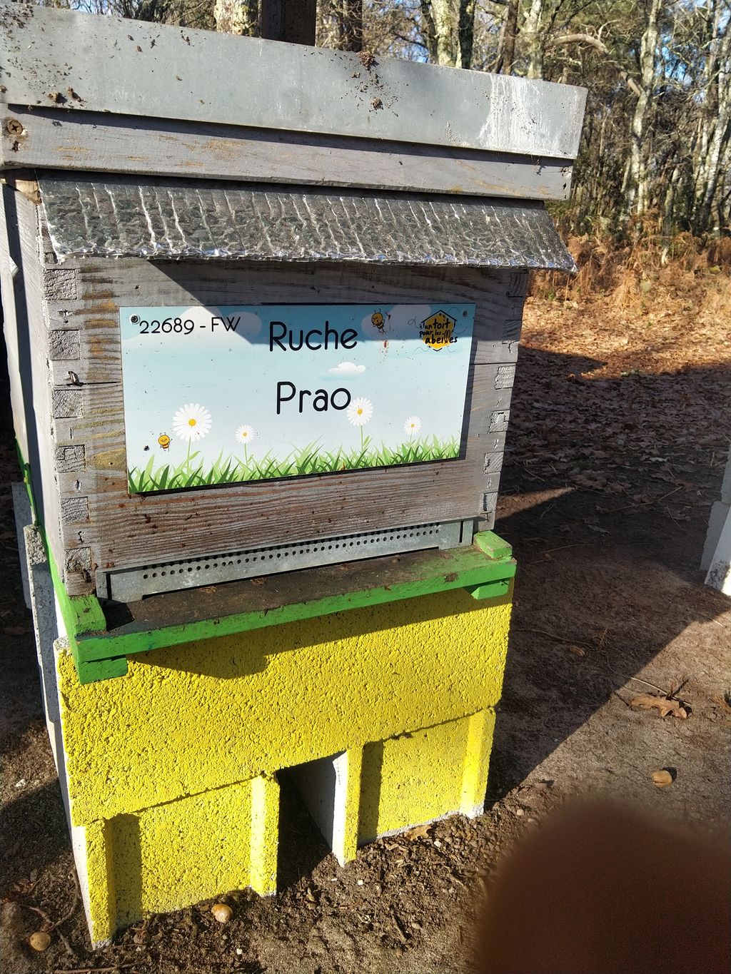 La ruche Prao