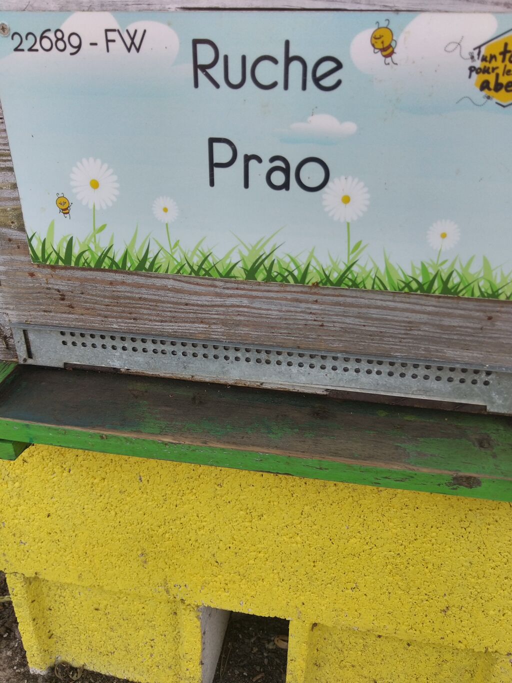 La ruche Prao