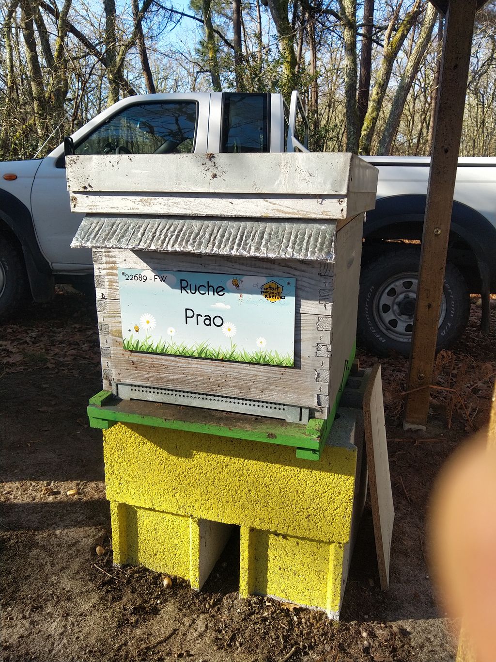 La ruche Prao