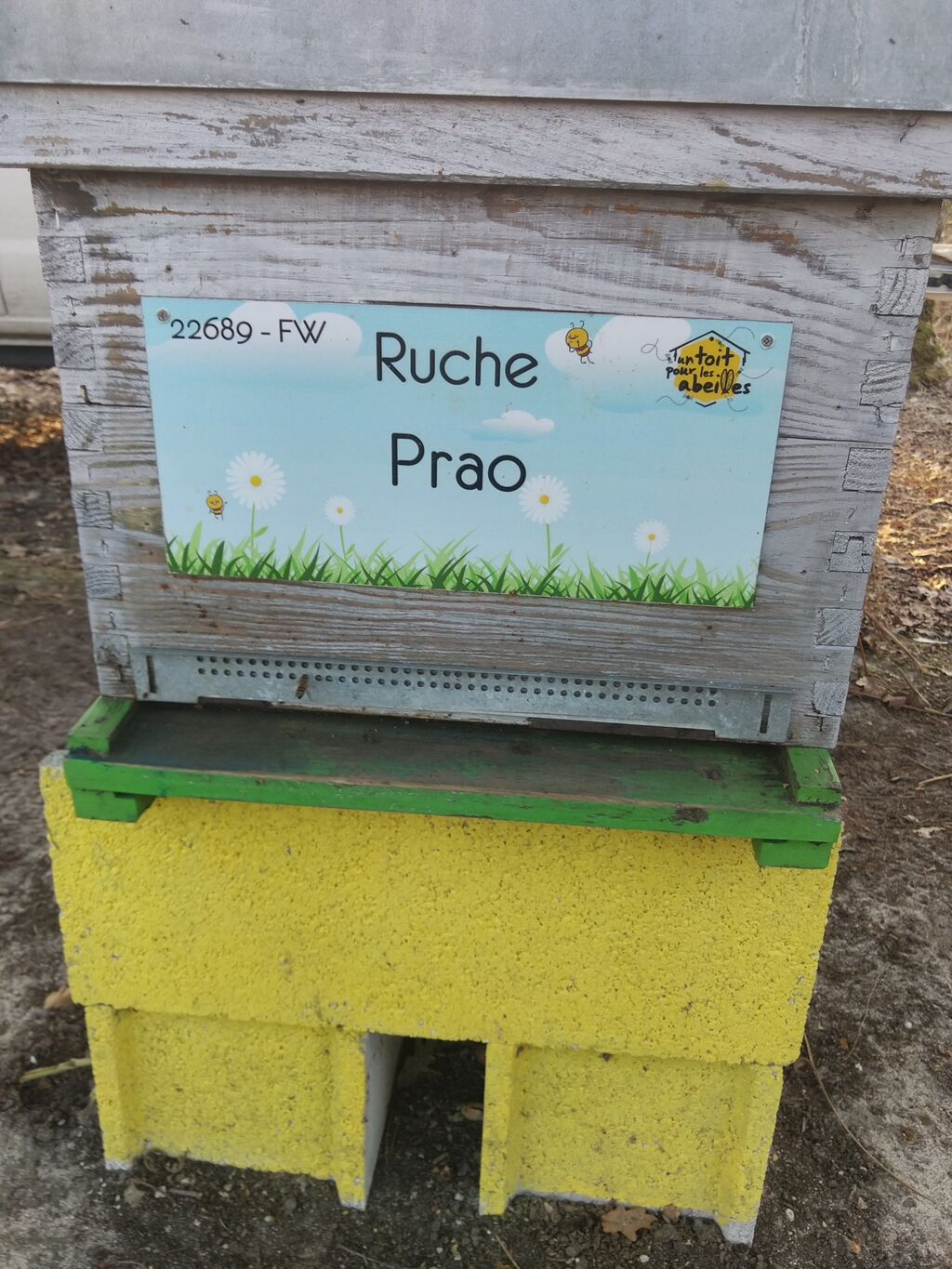 La ruche Prao