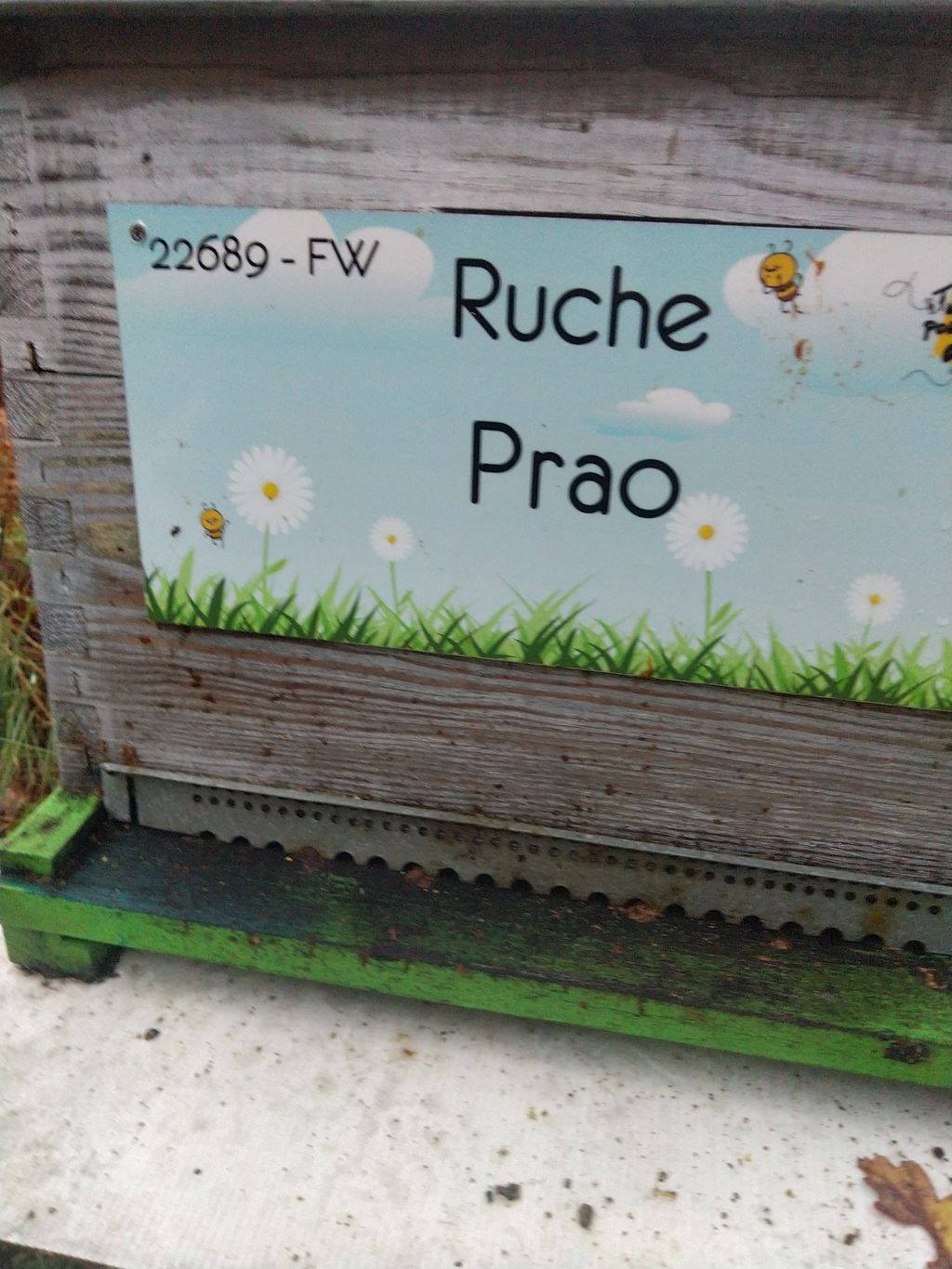 La ruche Prao