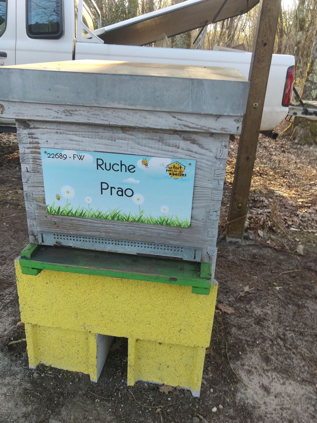 La ruche Prao
