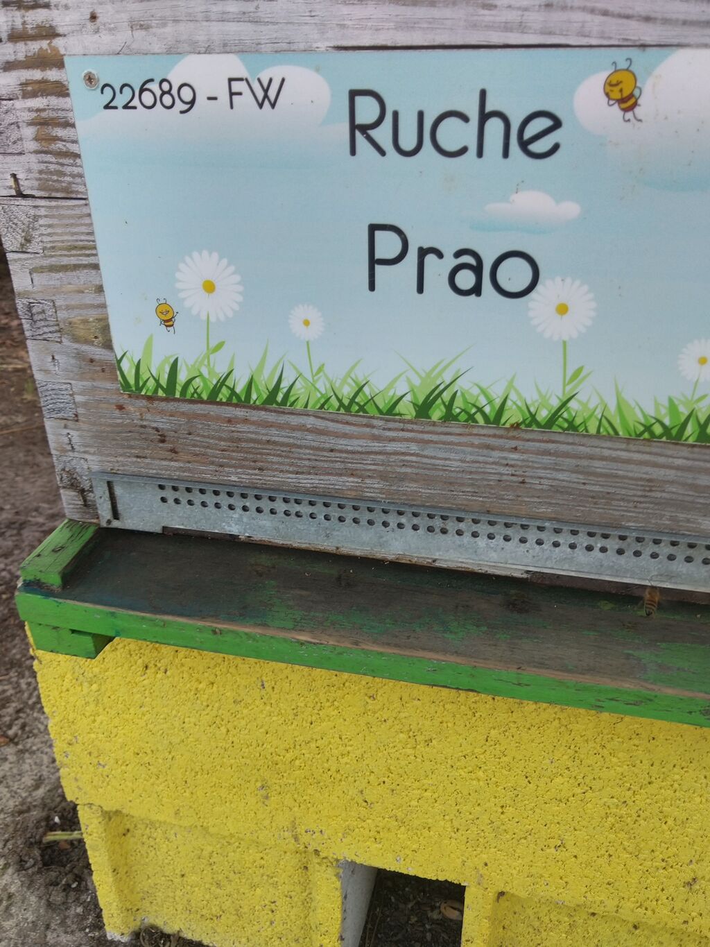 La ruche Prao