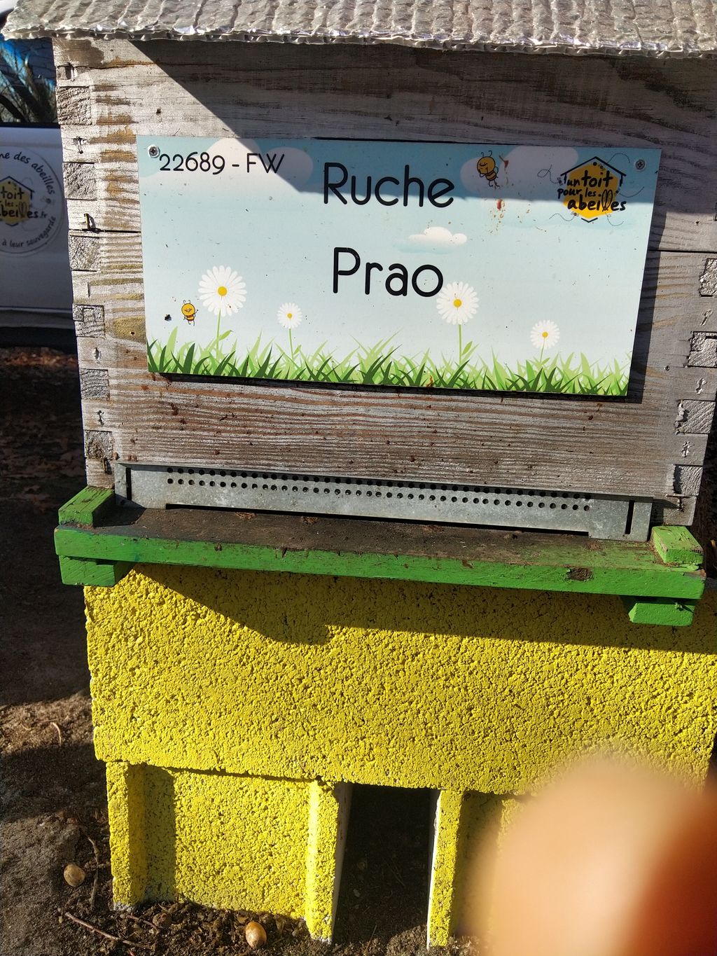 La ruche Prao