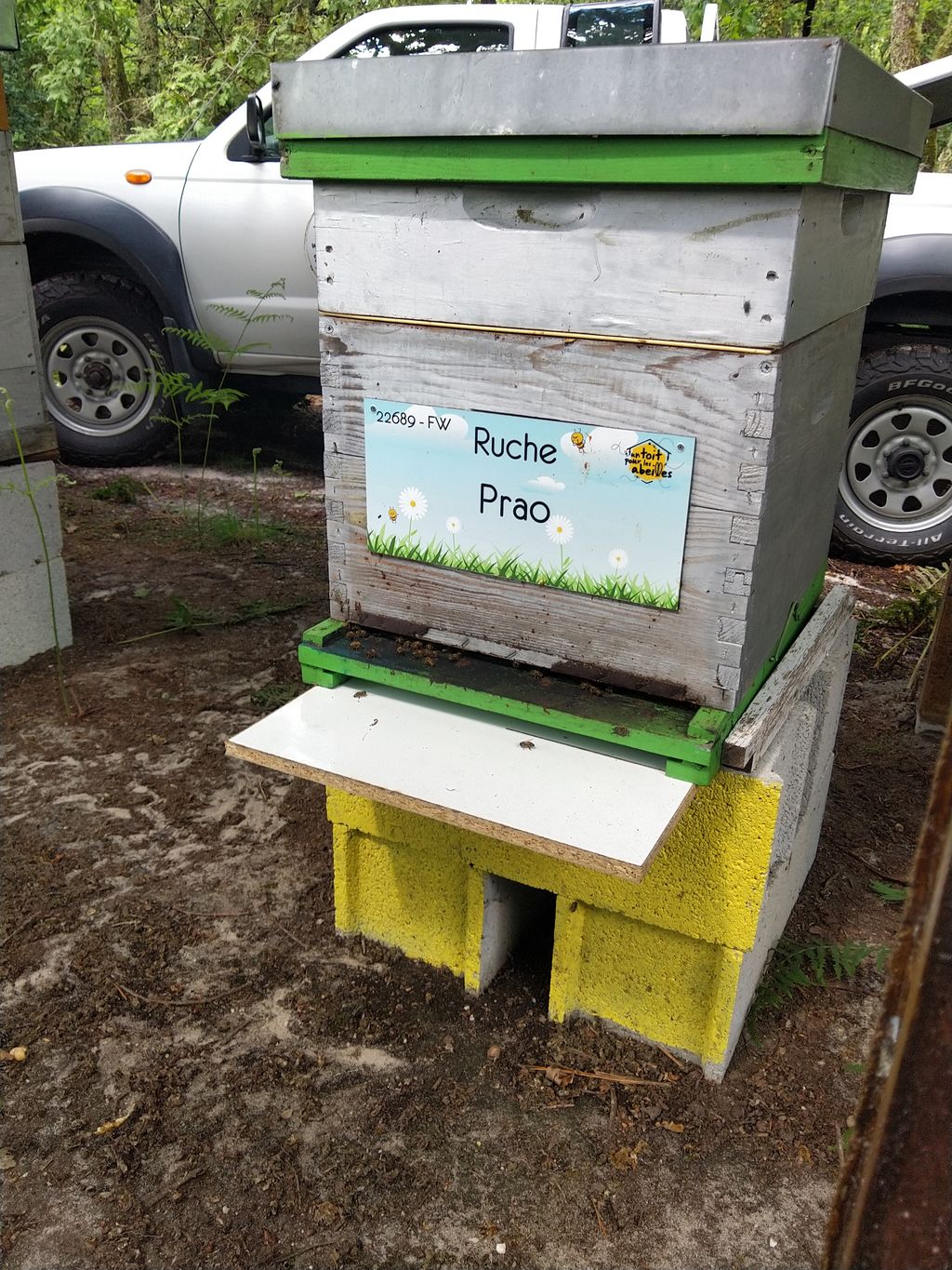 La ruche Prao