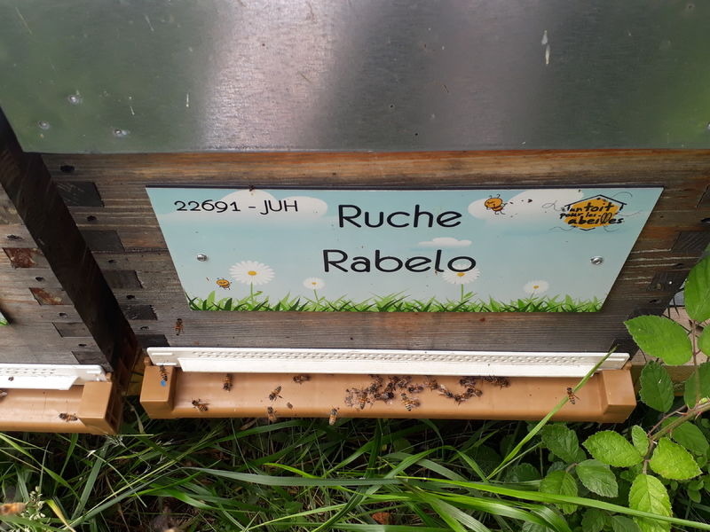La ruche Rabelo