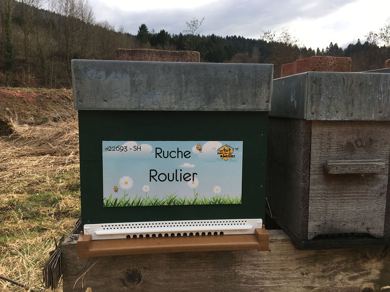 La ruche Roulier