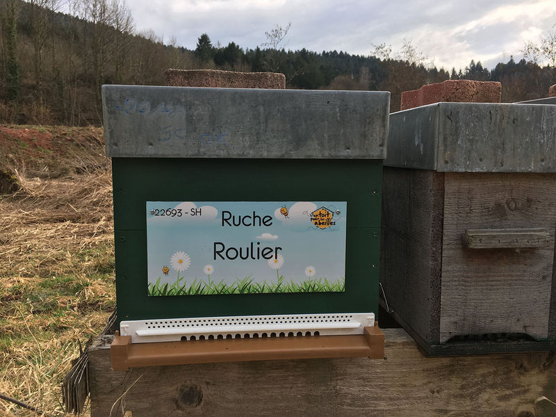 La ruche Roulier