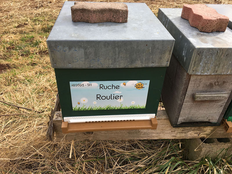 La ruche Roulier