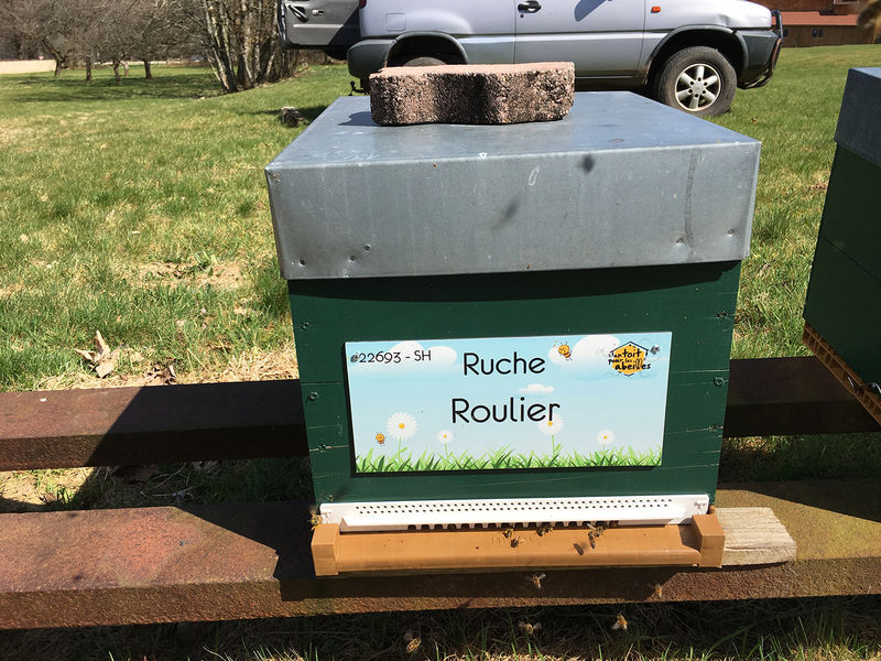 La ruche Roulier