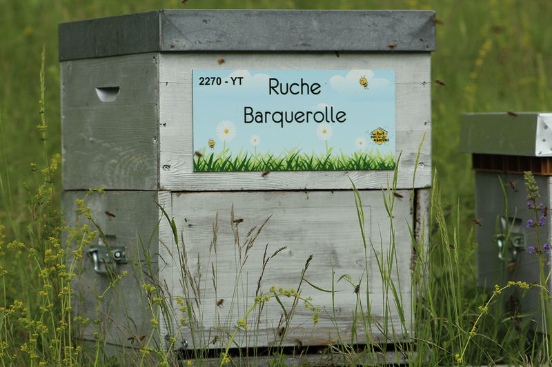 La ruche Barquerolle