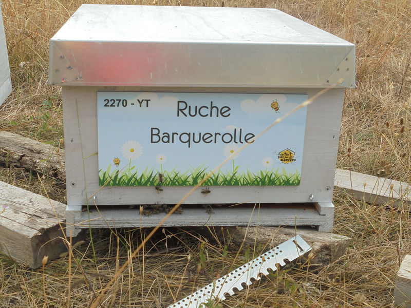 La ruche