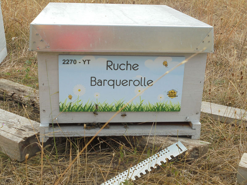 La ruche Barquerolle