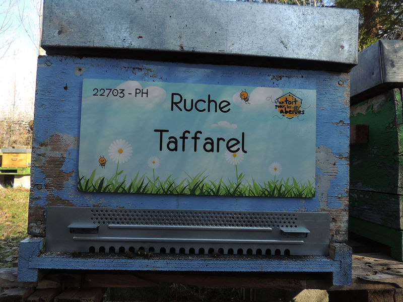 La ruche Taffarel
