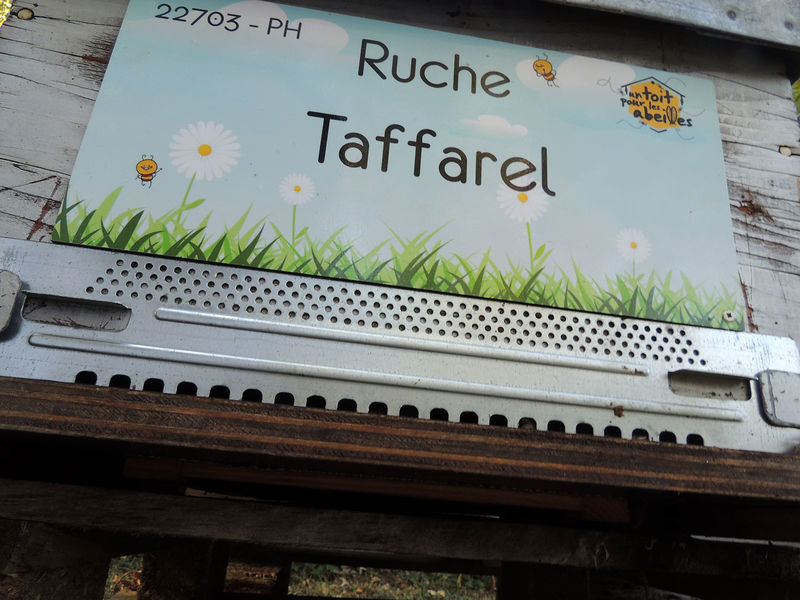 La ruche Taffarel