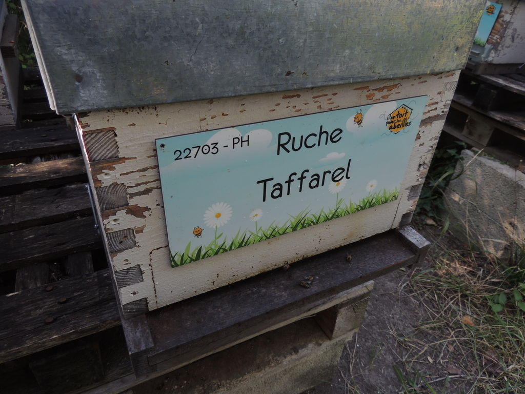 La ruche Taffarel