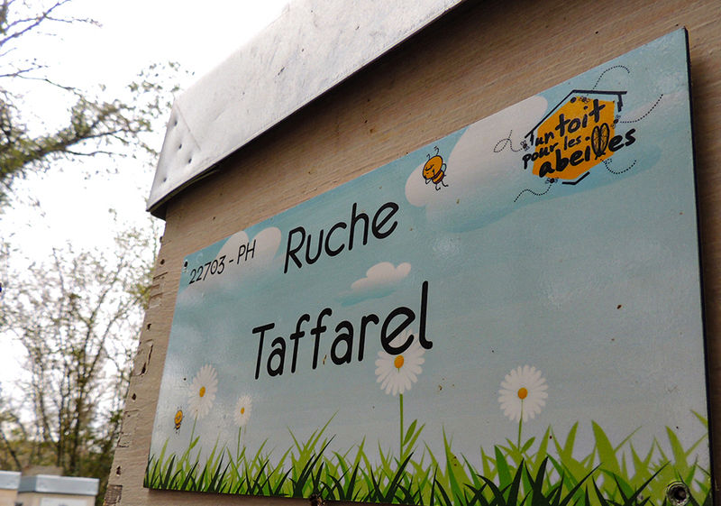 La ruche Taffarel